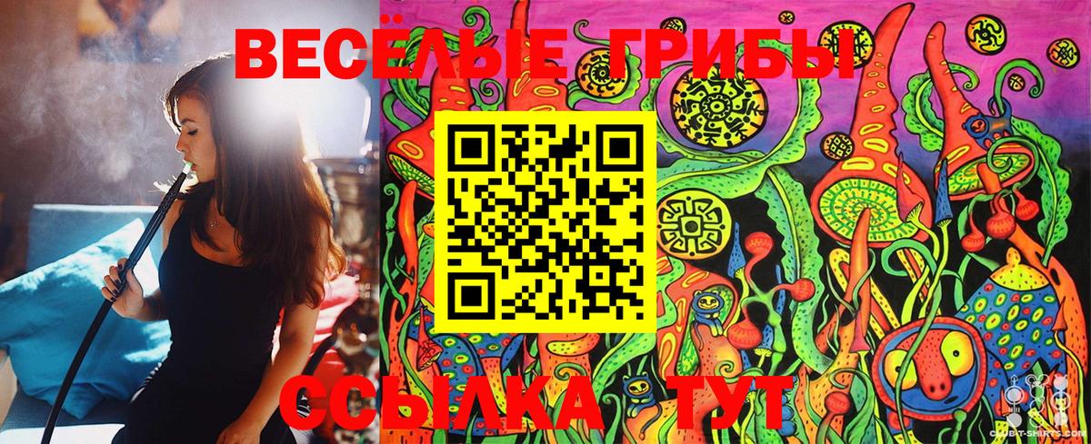 Минусинск  Псилоцибиновые грибы GOLDEN TEACHER  Вход с VPN  Псилоцибиновые грибы Psilocybe 